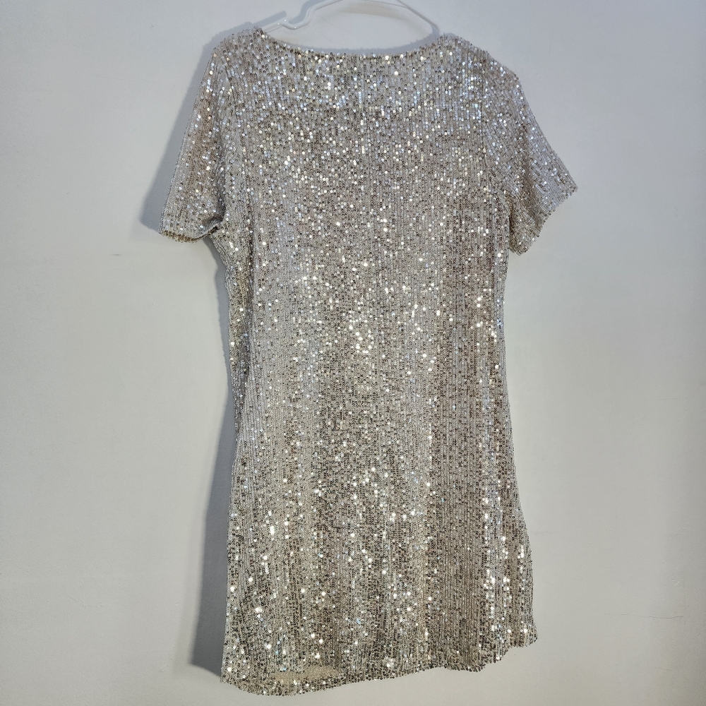7 For All Mankind Small Silver Sequin Dress - Picture 6 of 9